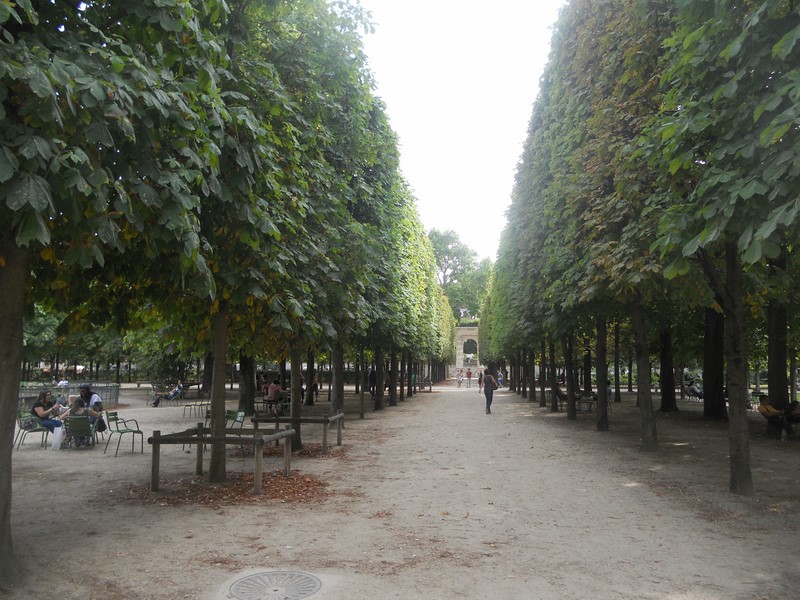 DSCN2856 (Kopírovat)